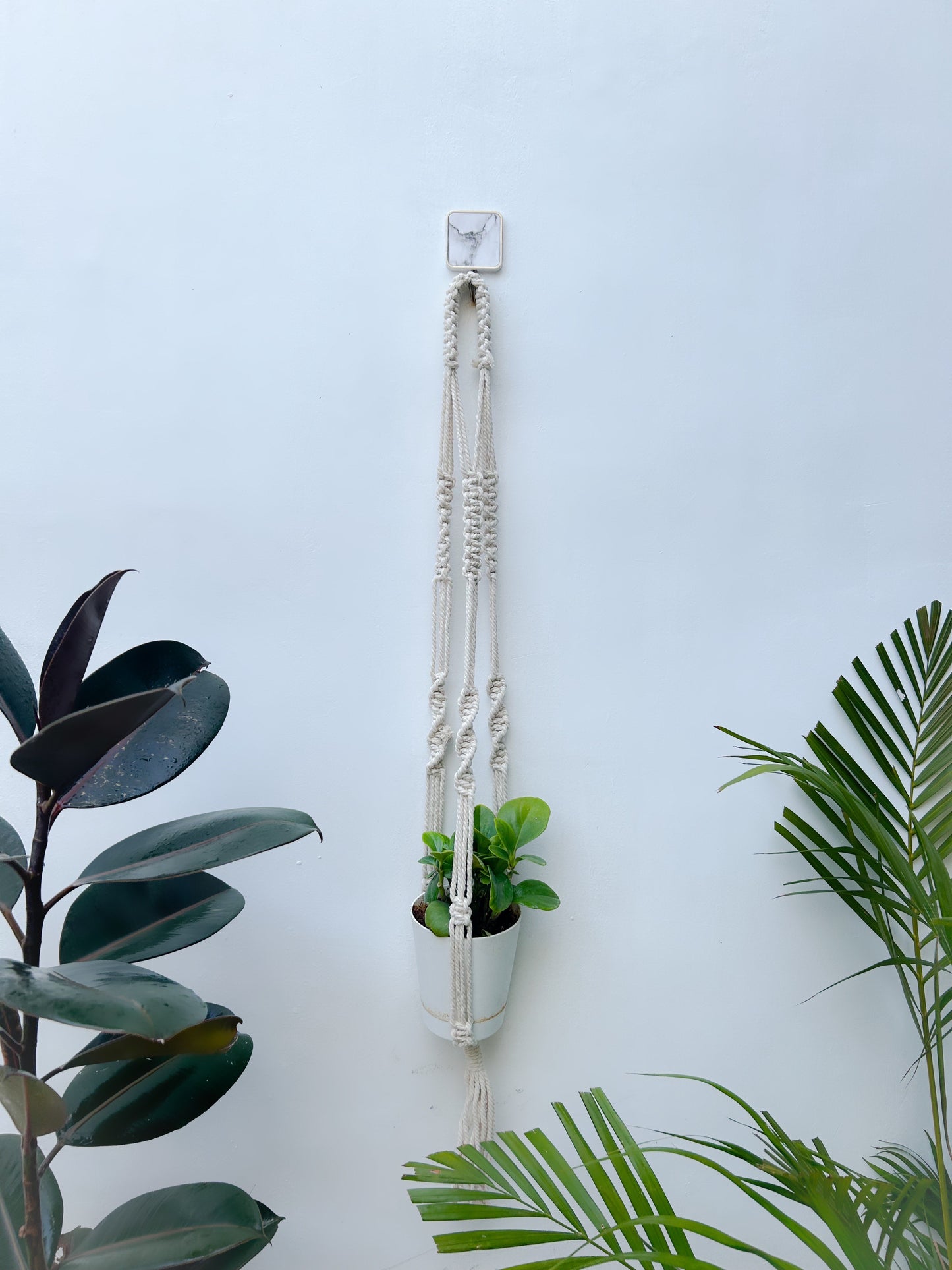 CG Homes MACRAME WALL HANGING WITH WOODEN SHELF