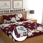 DREAMLET 160 TC Glace Cotton Bedsheet with 2 Pillow Covers Fitted DB1334