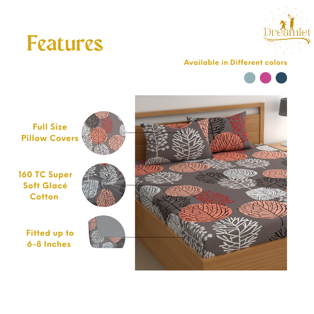 DREAMLET 210 TC Glace Cotton Bedsheet with 2 Pillow Covers DB1159