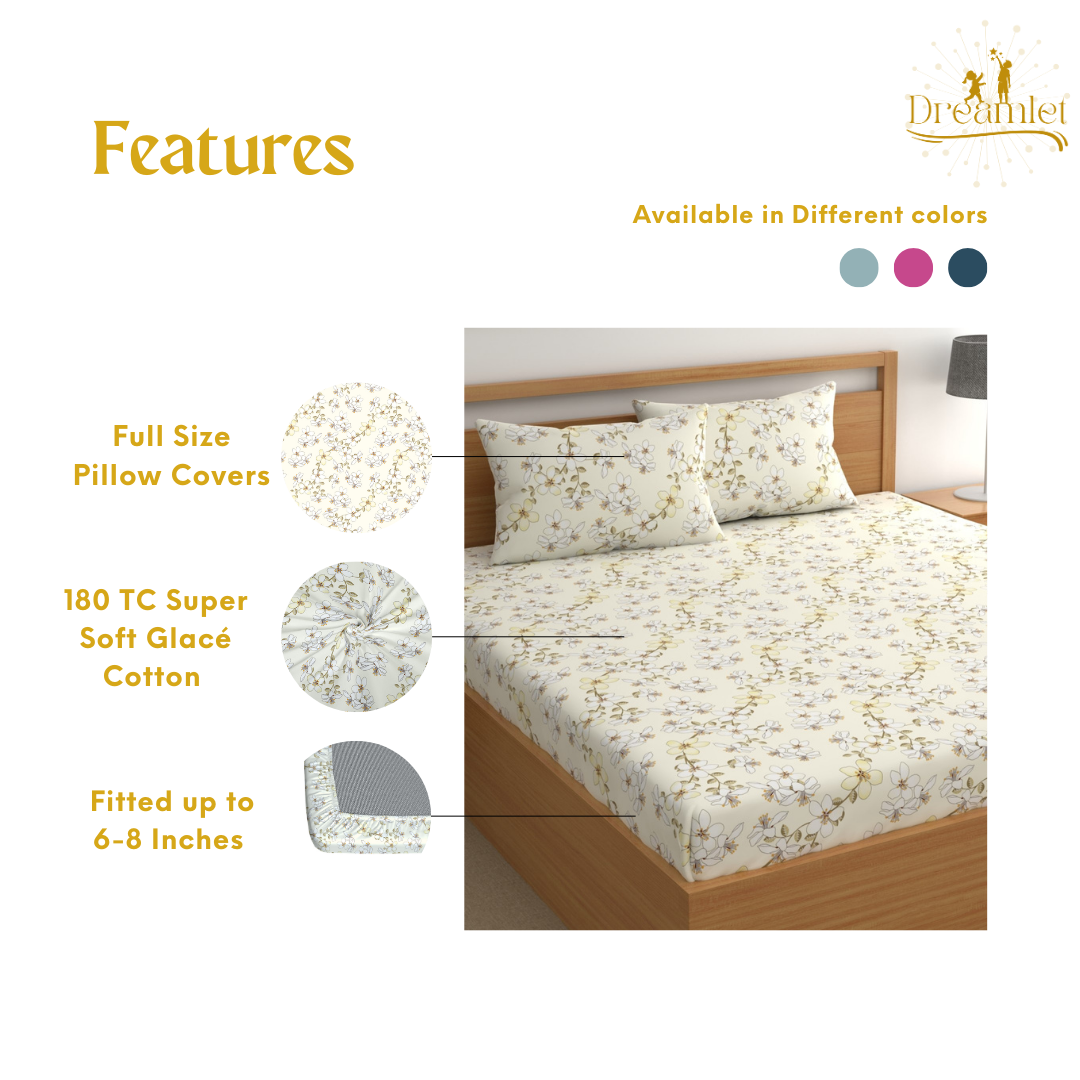 DREAMLET 210 TC Glace Cotton Bedsheet with 2 Pillow Covers DB1154