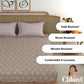 CHHAVI INDIA 210 TC Microfiber Printed King Size Bedsheet With Pillow Covers