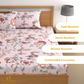 DREAMLET 210 TC Glace Cotton Bedsheet with 2 Pillow Covers DB1155