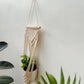 CG Homes MACRAME WALL HANGING WITH WOODEN SHELF