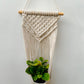 CG Homes MACRAME WALL HANGING WITH WOODEN SHELF