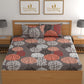 DREAMLET 210 TC Glace Cotton Bedsheet with 2 Pillow Covers Fitted DB1159