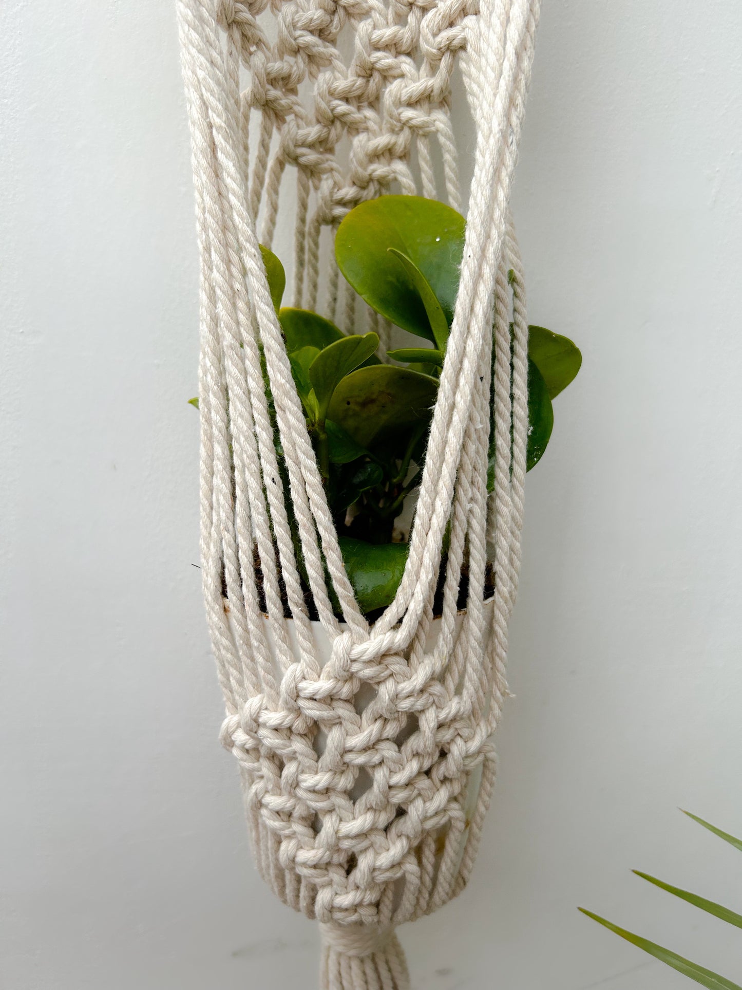 CG Homes MACRAME WALL HANGING WITH WOODEN SHELF