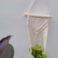 CG Homes MACRAME WALL HANGING WITH WOODEN SHELF